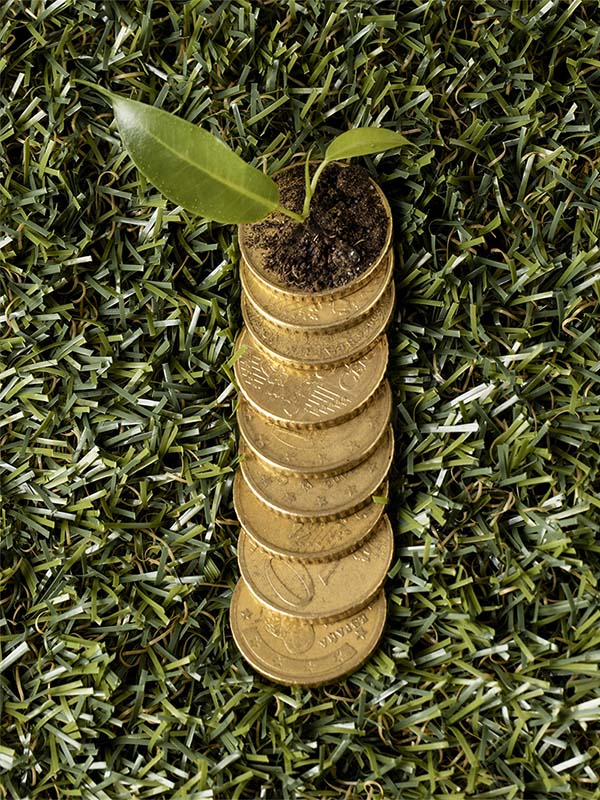 carry forward concessional contributions​